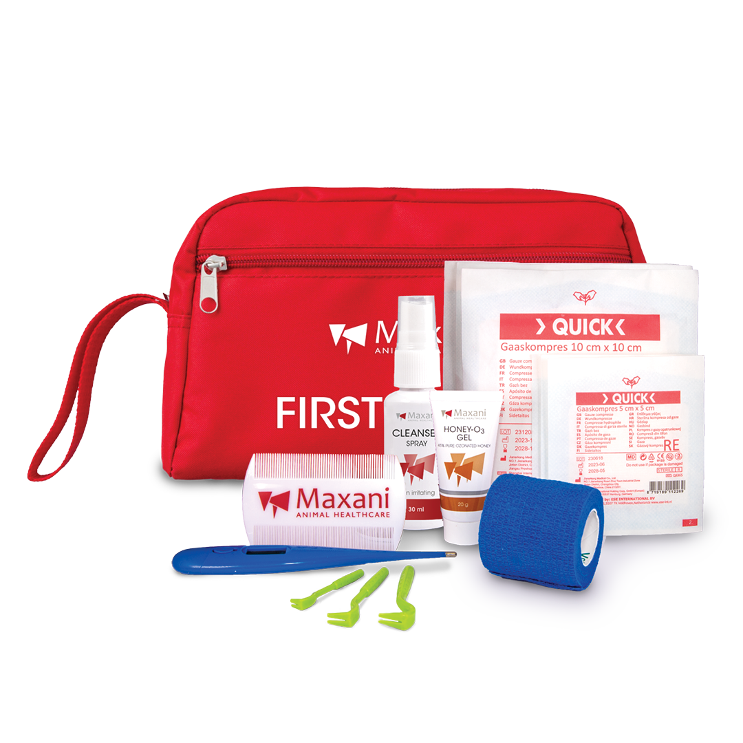 First Aid Kit