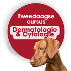 Tweedaagse cursus Dermatologie & Cytologie