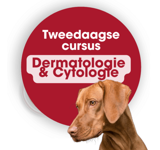 Tweedaagse cursus Dermatologie & Cytologie