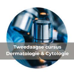 Tweedaagse cursus Dermatologie & Cytologie