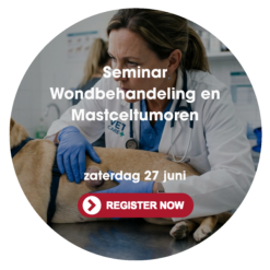 Seminar Wondbehandeling en Mastceltumoren voor dierenartsen
