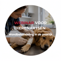 30 juni 2026 - Webinar voor dierenartsen: Wondbehandeling in de praktijk