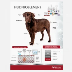Posters Maxani - Afbeelding 4
