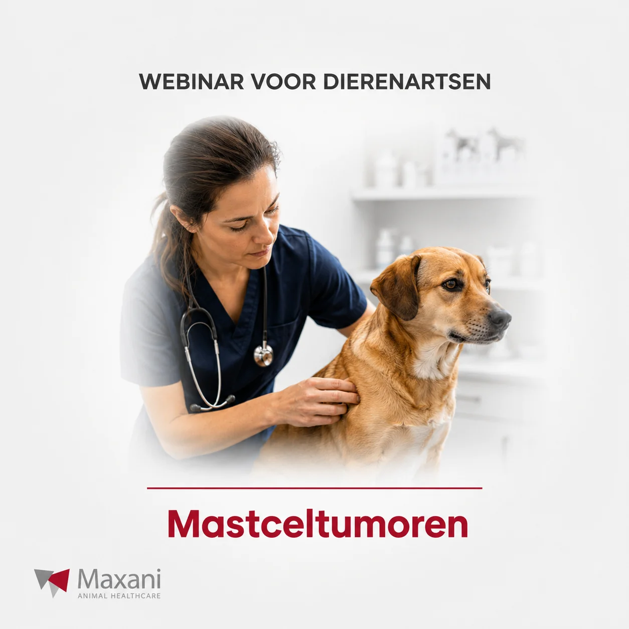 16 september 2026 - Webinar voor dierenartsen: Mastceltumoren