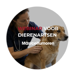 16 september 2026 - Webinar voor dierenartsen: Mastceltumoren